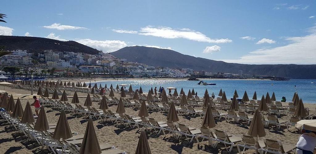 Jardines Canarios Los Cristianos  Eksteriør billede